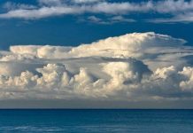 4 kế hoạch giải cứu Trái đất mà thành ra hơn cả phá hoại