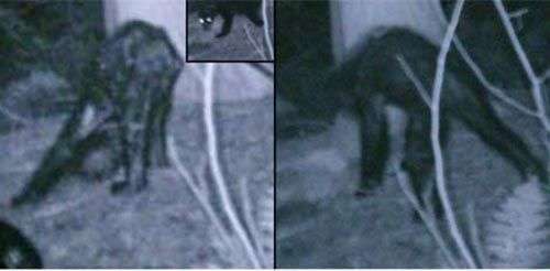 Những hiện tượng kỳ bí chưa có giải đáp