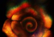 3 sự kiện khoa học trong tuần thứ 2 của tháng 4