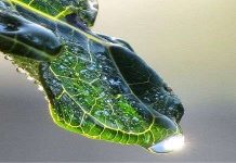 Hệ thống quang hợp nhân tạo biến nước thành hydro và oxy