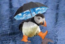 Khi nào những đám mây sẽ biến thành mưa?