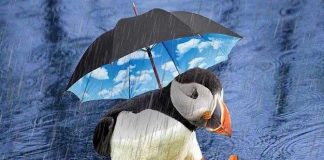 Khi nào những đám mây sẽ biến thành mưa?