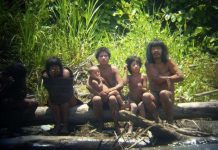 Cuộc sống nguyên thủy của các bộ tộc trong rừng Amazon