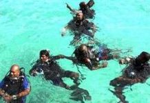 Họp chính phủ dưới nước