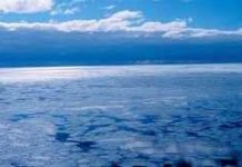 Băng Bắc cực sẽ tan hết?