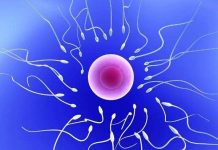 6 sự thật kỳ quái và thú vị về “tinh binh”