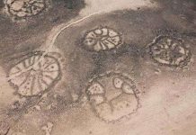 Những hình vẽ bánh xe bí ẩn ở Trung Đông