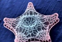 Dùng vi khuẩn tạo sơn óng ánh như ngọc trai