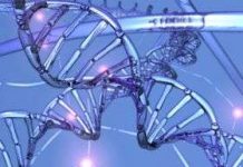 Hãy để ADN làm mai mối