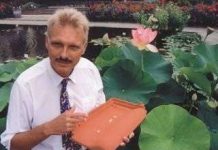 Những vật liệu "thông minh"