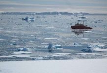 Khí hậu nóng lên ảnh hưởng tới chuỗi thức ăn Nam Cực