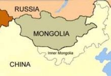 Phục hồi đồng cỏ ở những khu vực khô cằn