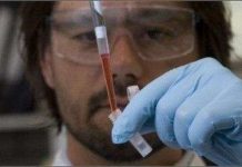 Chuột sinh ra từ trứng nhân tạo