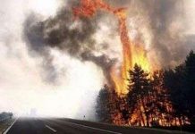 500 người chết vì nắng nóng ở Hungary 500 người chết vì nắng nóng ở Hungary