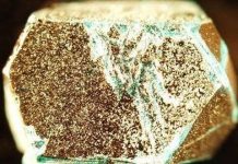 Phát hiện dạng vật chất mới