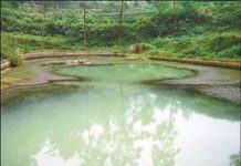 Tìm hiểu “hồ ma” ở Trung Quốc Tìm hiểu “hồ ma” ở Trung Quốc