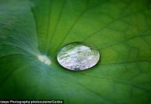 7 loại vật liệu kỳ lạ nhất thế giới