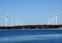 Đàn kiến thay đổi hình dạng khi chiến đấu Côn Đảo sẽ có nhà máy phong điện năm 2010