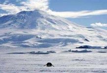 Băng tan kỷ lục tại Nam Cực Băng tan kỷ lục tại Nam Cực