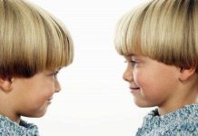 Giải pháp nhận diện tội phạm sinh đôi