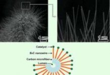 Biến áo phông thành áo giáp