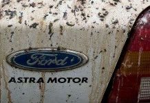 Phi đội diều hâu - vũ khí mới giúp Rome ngừa phân chim