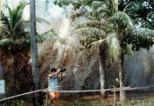 Sẽ cảnh báo động đất, sóng thần qua điện thoại Sẽ cảnh báo động đất, sóng thần qua điện thoại