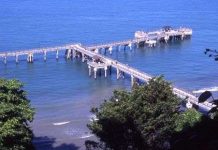 Singapore: Hơn 100 loài thủy sinh mới được phát hiện