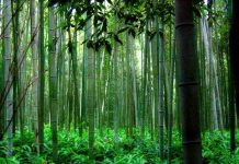 Thu giữ CO2 từ không khí không khả thi