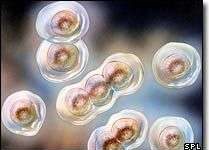 Sẽ lập bản đồ ADN của 1000 người