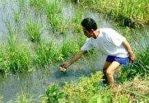 Ô nhiễm vì thuốc bảo vệ thực vật