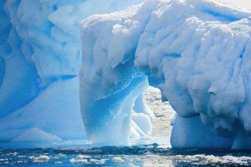 9 điều thú vị về hai vùng cực