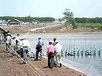 Khô hạn trên diện rộng tại Nam Trung Bộ