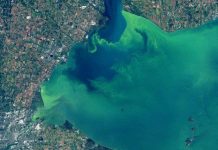 Hồ nước ở Mỹ chuyển màu tuyệt đẹp, nhưng đó lại là tin cực kỳ không tốt