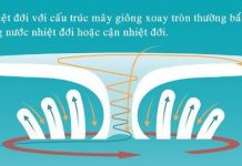 Những yếu tố tạo nên sức mạnh hủy diệt của bão nhiệt đới Những yếu tố tạo nên sức mạnh hủy diệt của bão nhiệt đới