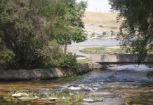 Sông Amazon dài nhất thế giới, vậy con sông ngắn nhất nằm ở đâu? Sông Amazon dài nhất thế giới, vậy con sông ngắn nhất nằm ở đâu?