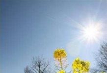 Tokyo: mùa đông không có tuyết