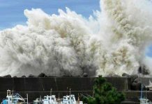 Nhà máy điện Nhật an toàn trong siêu bão