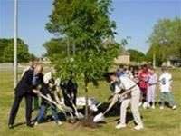 LHQ phát động chiến dịch trồng 1 tỷ cây xanh