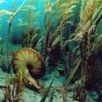 Hệ sinh thái trước nguy cơ "hủy diệt hàng loạt"