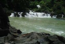 Phát hiện quần thể hang dơi đầy bí ẩn Phát hiện quần thể hang dơi đầy bí ẩn