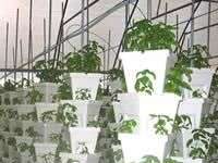 Công nghệ xử lý rác thành năng lượng “xanh” Công nghệ xử lý rác thành năng lượng “xanh”