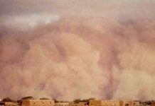 Khí hậu sa mạc Khí hậu sa mạc