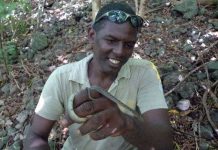 Công bố loài động vật hiếm nhất thế giới