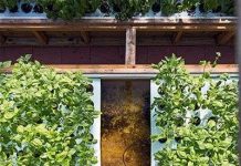 Độc đáo mô hình thủy canh của người Việt tại Mỹ