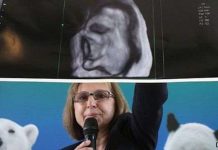 Tạo ra voi con từ tinh trùng đông lạnh Tạo ra voi con từ tinh trùng đông lạnh