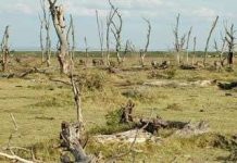 El Nino tái xuất - mưa bão sẽ kết thúc sớm?