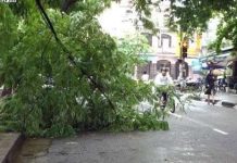 Tây Nguyên: Mưa lũ lớn, 20 người chết, mất tích