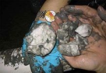 Trung Quốc phát hiện trữ lượng khí hydrate lớn ở Biển Đông