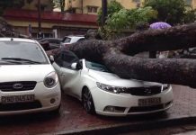 Năm 2017, nắng nóng gay gắt, mưa bão khốc liệt hơn năm 2016?